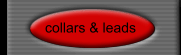 collars & leads