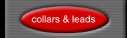 collars & leads